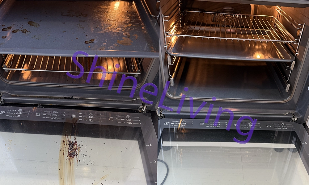 Polished oven after Shine Living service